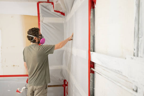 Mold Remediation for Rental Properties in Coeburn, VA